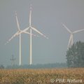 Farma wiatrowa w okolicach Kutna (Fot. A. Urbanek)